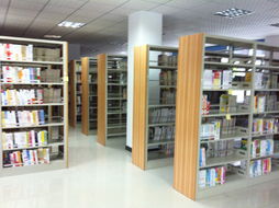 坂田街道文体服务中心工程实例 深圳东方华奥办公家具厂的专业解决方案